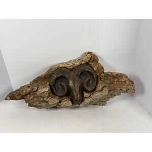 Vintage Hand Carved 3D Ram Skull Set In Driftwood Wire Hanger On Back